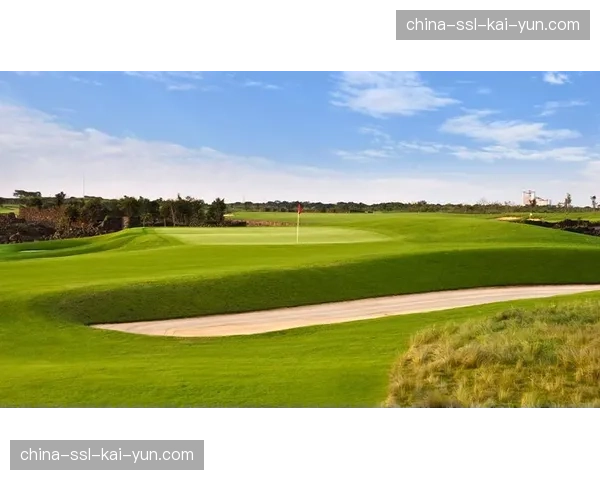 罗马新球场建设方案公布，将集成面部识别与无现金支付系统